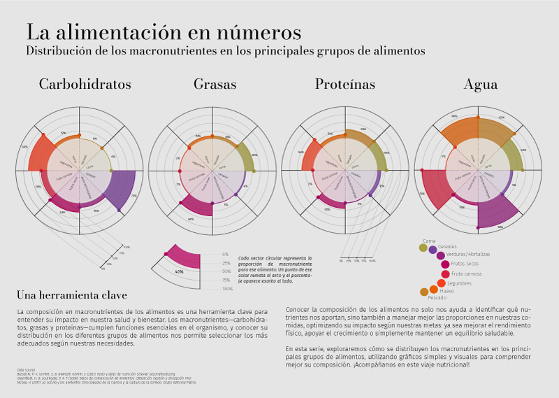 infografia 1