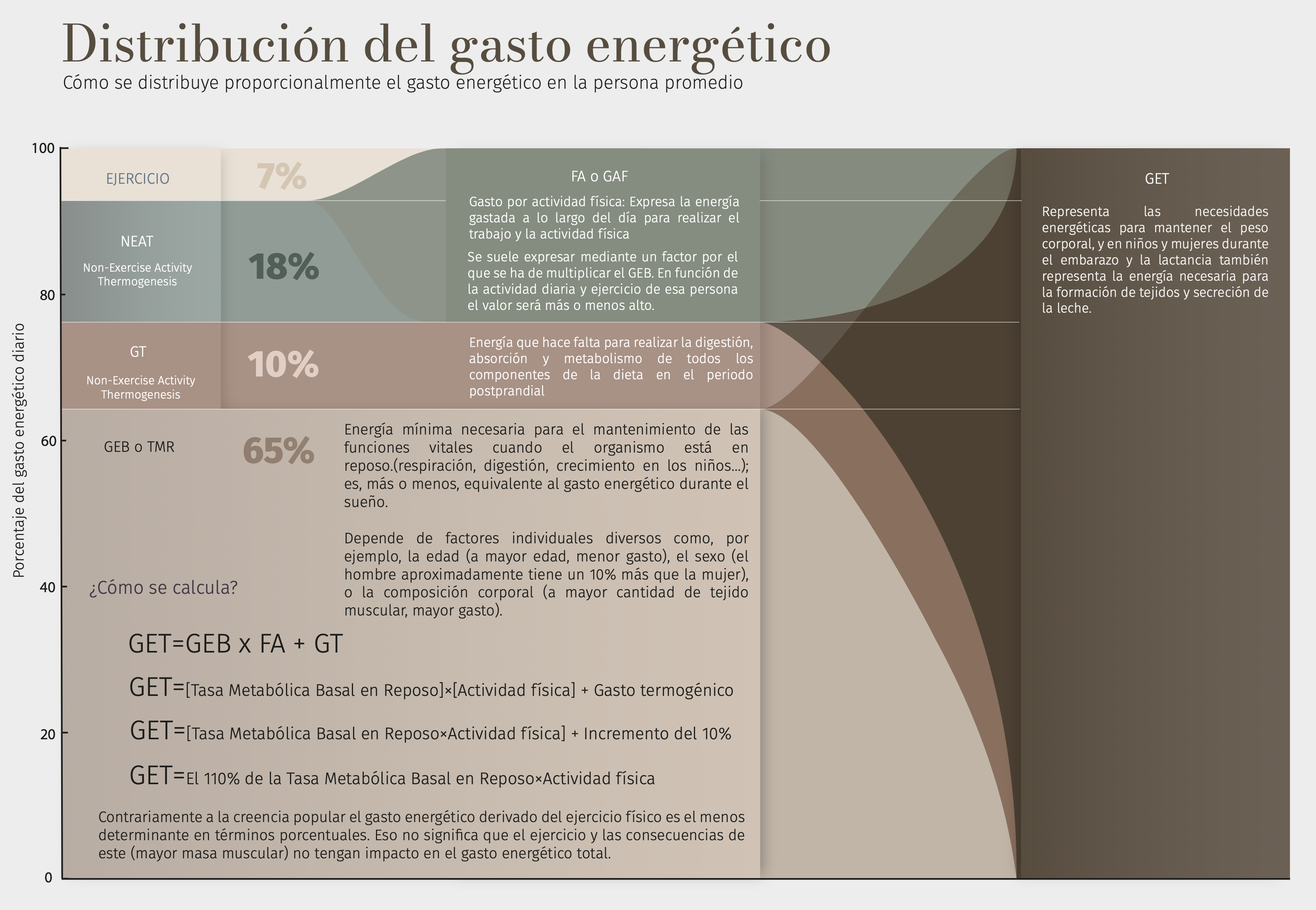 infografia 1