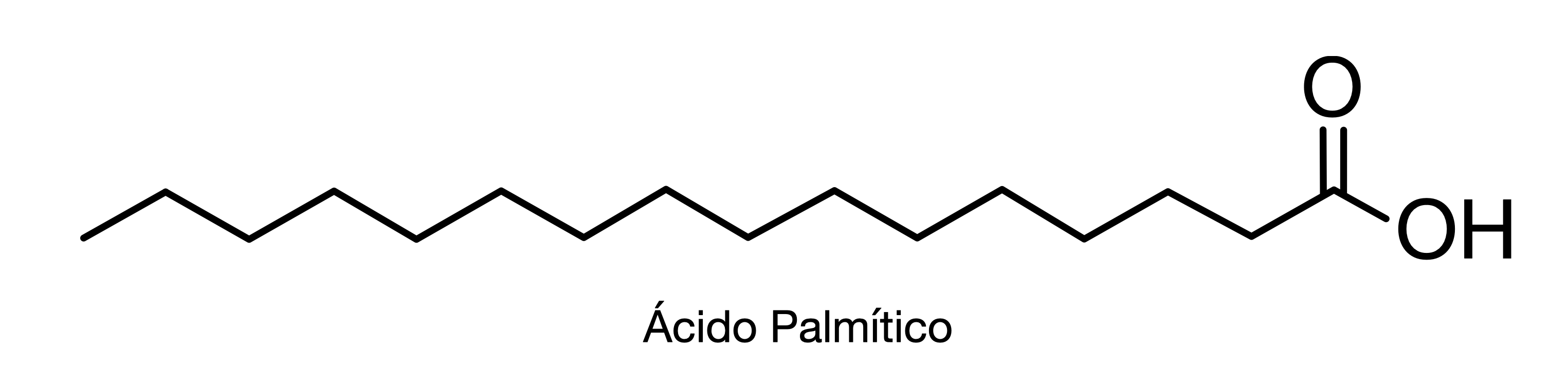 Ácido palmítico esquemático